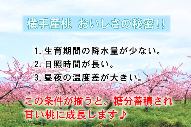 秋田県横手の桃,JA秋田ふるさと