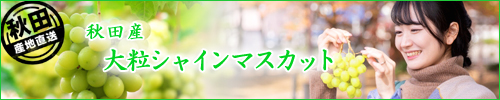 シャインマスカット,秋田,JA,秋田ふるさと,秋田おばこ,